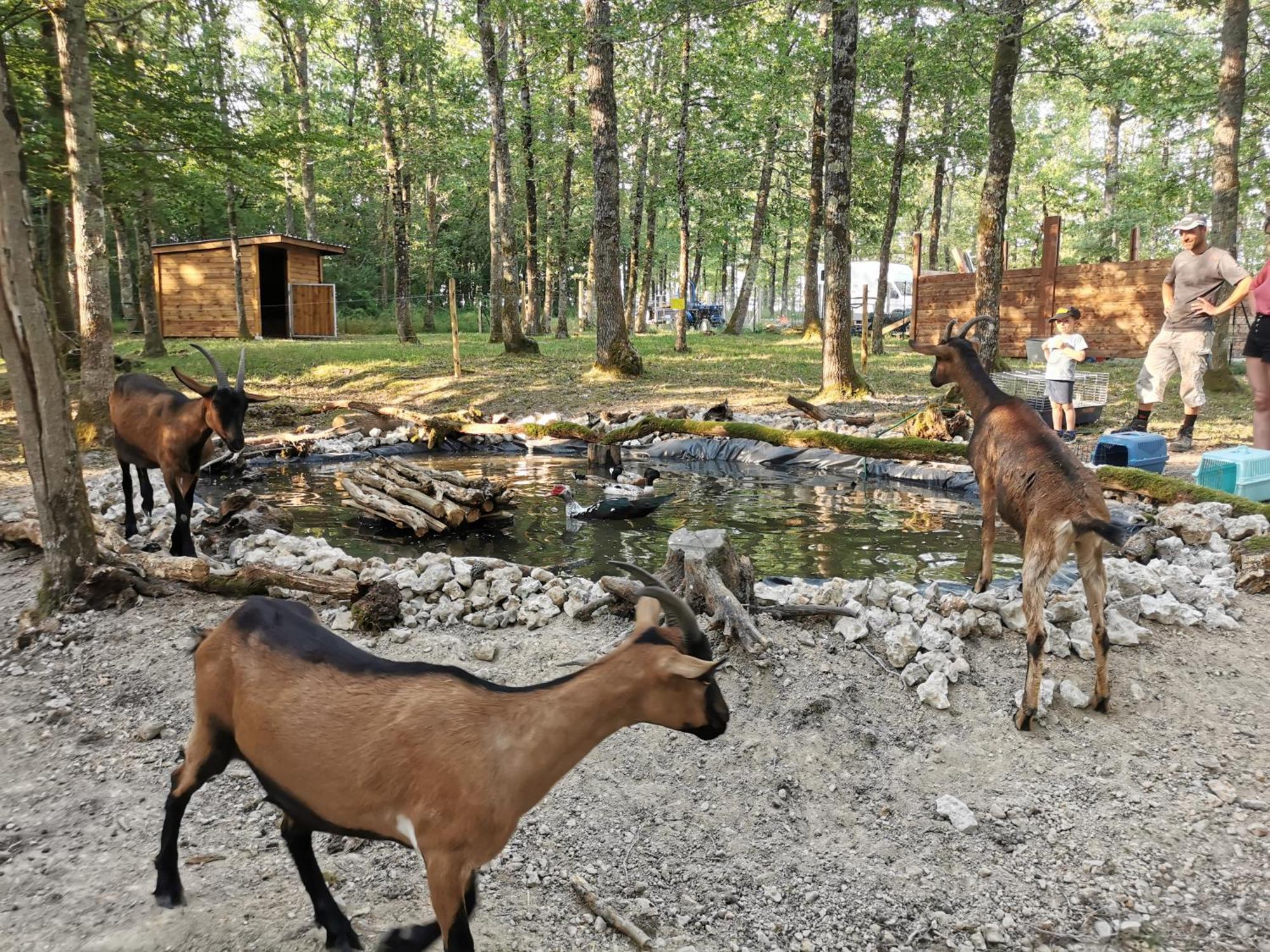 La Parenthese Meslandaise Otel Dış mekan fotoğraf